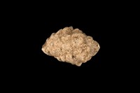 藏品(結螺)的圖片